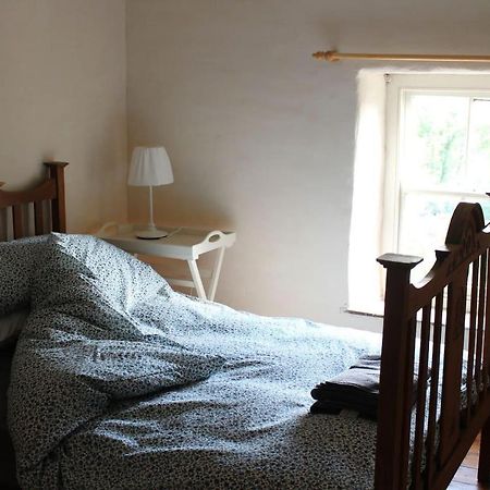 Relaxing Pet Friendly 2-Bed Cottage In Rhandirmwyn Llandovery Exteriör bild
