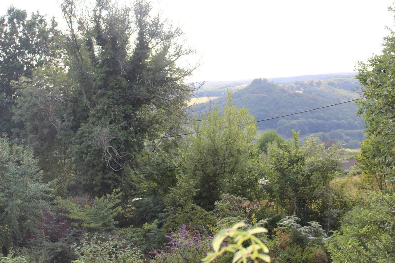 Relaxing Pet Friendly 2-Bed Cottage In Rhandirmwyn Llandovery Exteriör bild