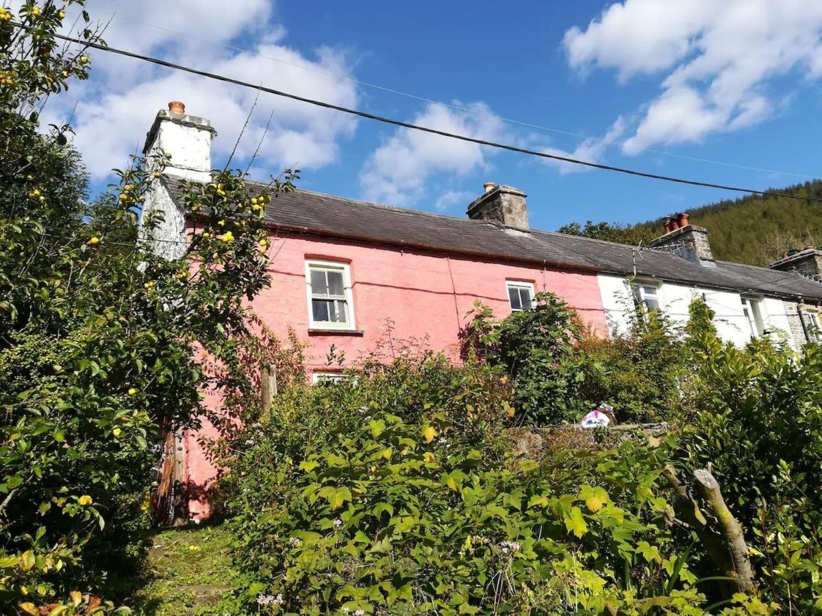Relaxing Pet Friendly 2-Bed Cottage In Rhandirmwyn Llandovery Exteriör bild