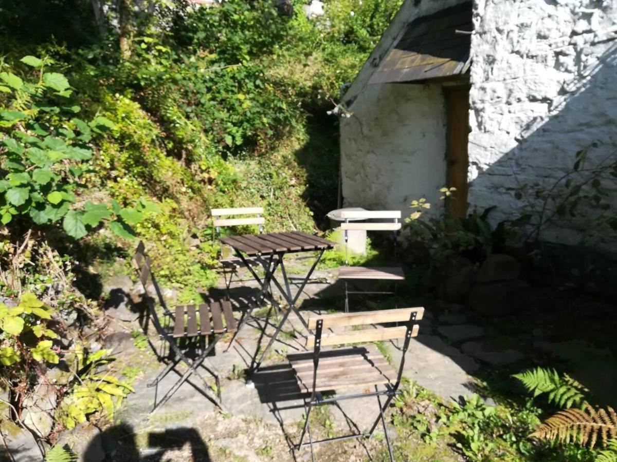 Relaxing Pet Friendly 2-Bed Cottage In Rhandirmwyn Llandovery Exteriör bild