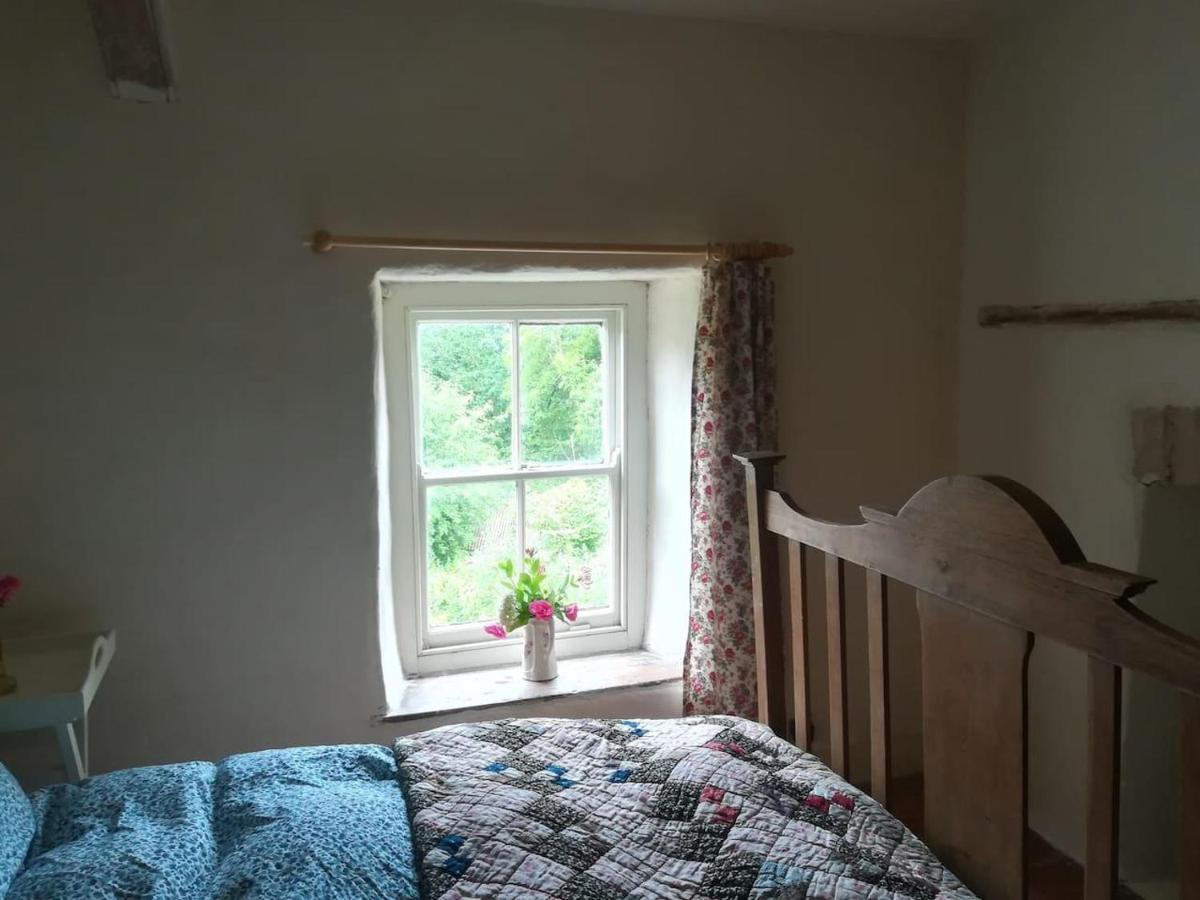 Relaxing Pet Friendly 2-Bed Cottage In Rhandirmwyn Llandovery Exteriör bild