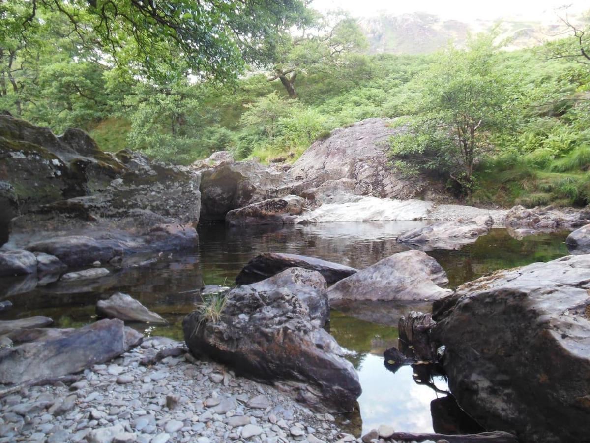 Relaxing Pet Friendly 2-Bed Cottage In Rhandirmwyn Llandovery Exteriör bild